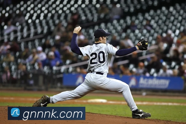 爱游戏app中国官方网站APP 封面图